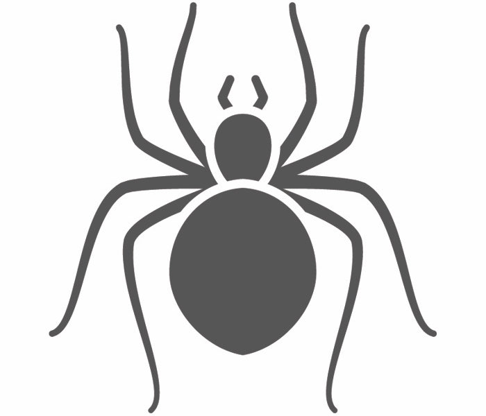 DIY Spider Control DIY Pest Products