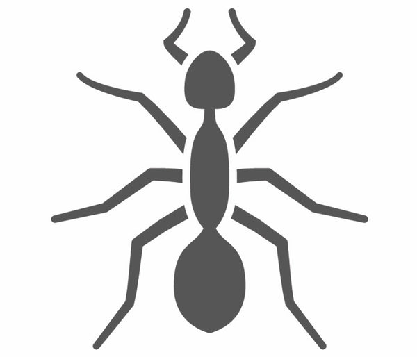 Ants