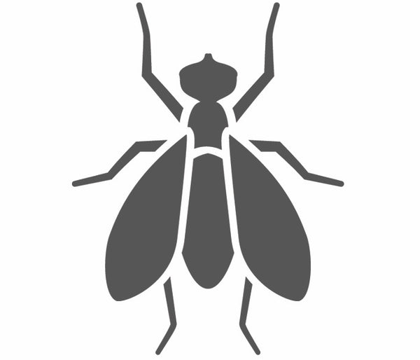 Flies