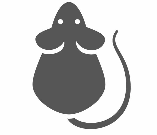 Rats & Mice