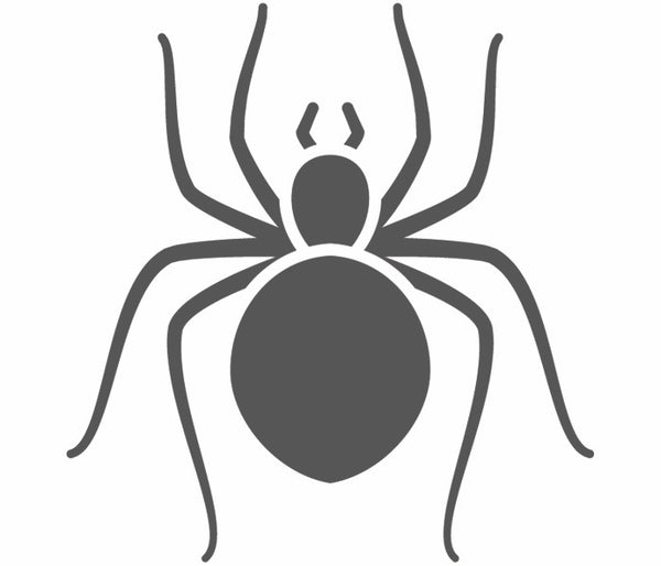 Spiders