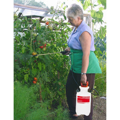 Birchmeier 3 litre Garden Star 3 Compression Sprayer 