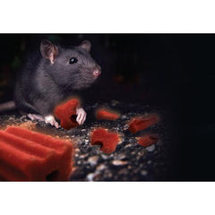 Really Serious! Pro® Vermax Rat & Mice Block Bait Bromadiolone 