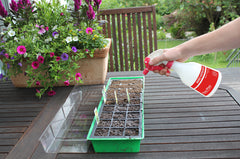 Birchmeier 0.5 litre Foxy Plus Hand Sprayer - SOLD OUT