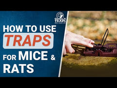 Gorilla Humane Mouse Traps (2 x Nara Lures) (WA ONLY)