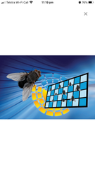 Vectothor Falcon LED Flying Insect Unit 15w (50+ m2)